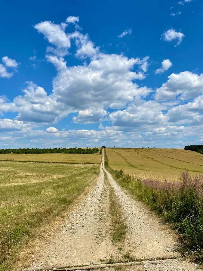 Polní cesta