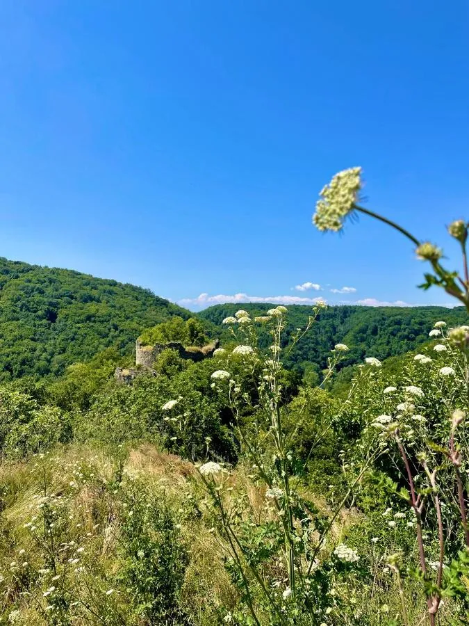 Národní park Podyjí